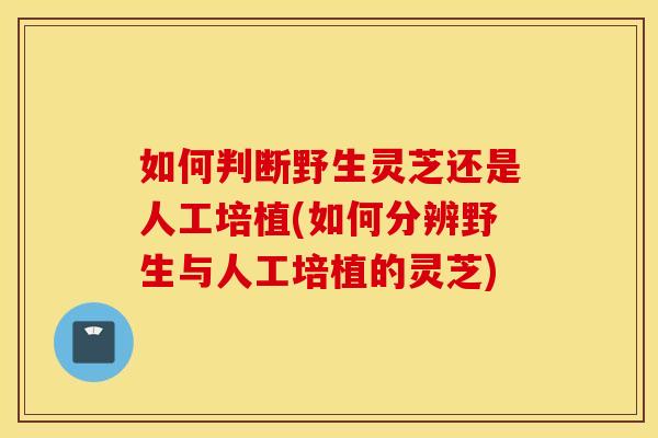 如何判断野生灵芝还是人工培植(如何分辨野生与人工培植的灵芝)