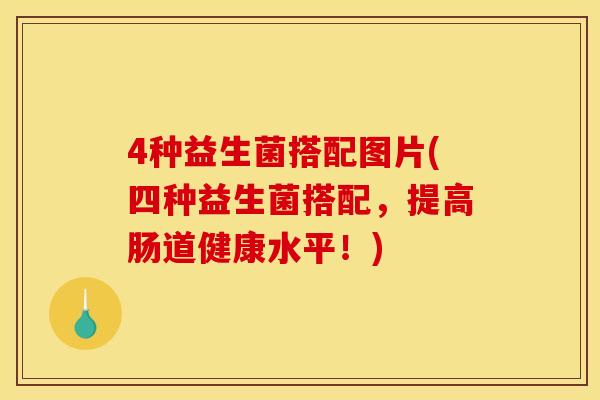 4种益生菌搭配图片(四种益生菌搭配，提高肠道健康水平！)