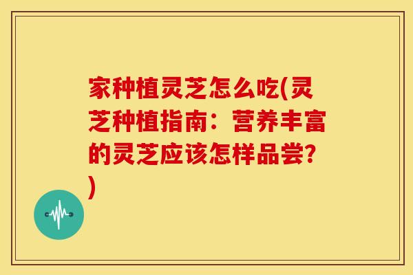 家种植灵芝怎么吃(灵芝种植指南：营养丰富的灵芝应该怎样品尝？)