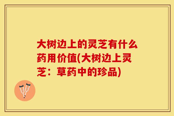 大树边上的灵芝有什么药用价值(大树边上灵芝：草药中的珍品)