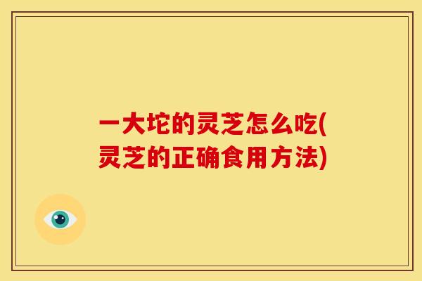 一大坨的灵芝怎么吃(灵芝的正确食用方法)
