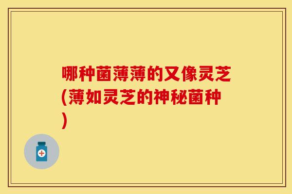 哪种菌薄薄的又像灵芝(薄如灵芝的神秘菌种)