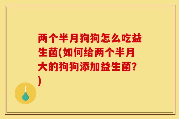 两个半月狗狗怎么吃益生菌(如何给两个半月大的狗狗添加益生菌？)