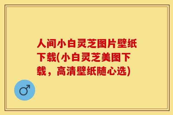 人间小白灵芝图片壁纸下载(小白灵芝美图下载，高清壁纸随心选)