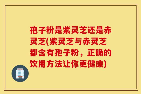孢子粉是紫灵芝还是赤灵芝(紫灵芝与赤灵芝都含有孢子粉，正确的饮用方法让你更健康)