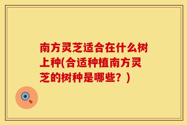 南方灵芝适合在什么树上种(合适种植南方灵芝的树种是哪些?) 南方灵芝适合在什么树上种(合适种植南方灵芝的树种是哪些?)