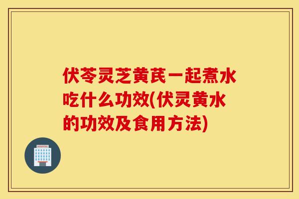 伏苓灵芝黄芪一起煮水吃什么功效(伏灵黄水的功效及食用方法)