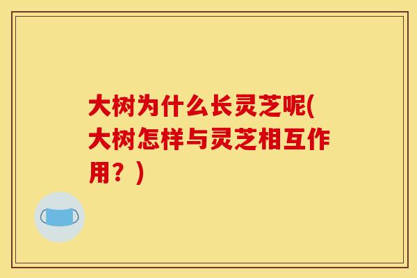 大树为什么长灵芝呢(大树怎样与灵芝相互作用？)