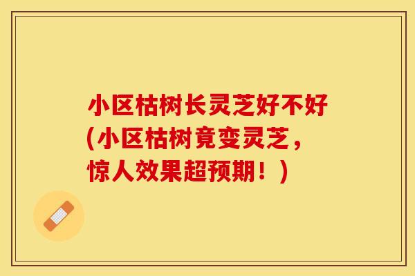 小区枯树长灵芝好不好(小区枯树竟变灵芝，惊人效果超预期！)