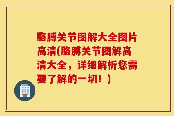 胳膊关节图解大全图片高清(胳膊关节图解高清大全，详细解析您需要了解的一切！)