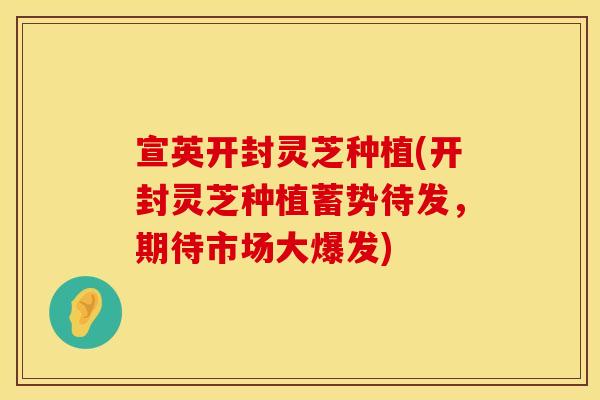 宣英开封灵芝种植(开封灵芝种植蓄势待发，期待市场大爆发)