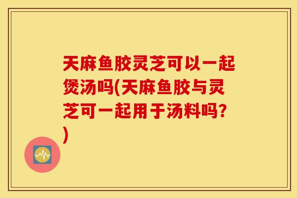 天麻鱼胶灵芝可以一起煲汤吗(天麻鱼胶与灵芝可一起用于汤料吗？)