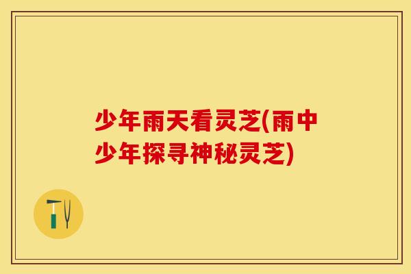 少年雨天看灵芝(雨中少年探寻神秘灵芝)