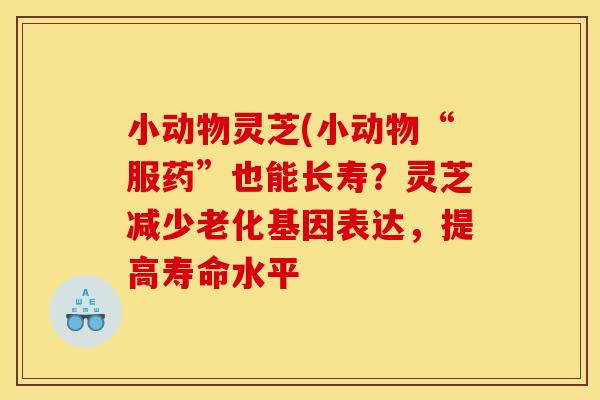 小动物灵芝(小动物“服药”也能长寿？灵芝减少老化基因表达，提高寿命水平