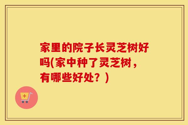 家里的院子长灵芝树好吗(家中种了灵芝树，有哪些好处？)