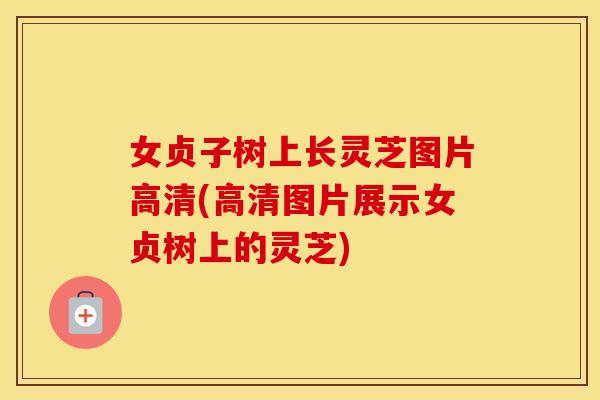 女贞子树上长灵芝图片高清(高清图片展示女贞树上的灵芝)