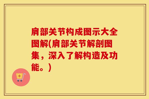 肩部关节构成图示大全图解(肩部关节解剖图集，深入了解构造及功能。)
