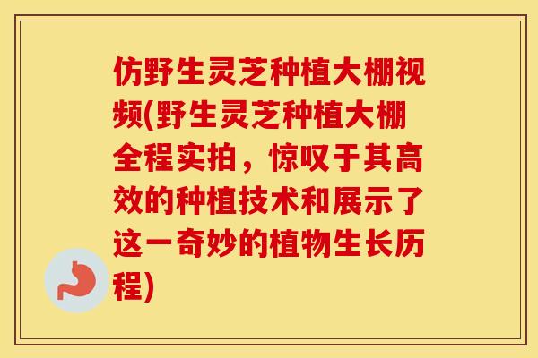 仿野生灵芝种植大棚视频(野生灵芝种植大棚全程实拍，惊叹于其高效的种植技术和展示了这一奇妙的植物生长历程)