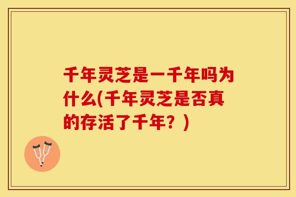 千年灵芝是一千年吗为什么(千年灵芝是否真的存活了千年？)