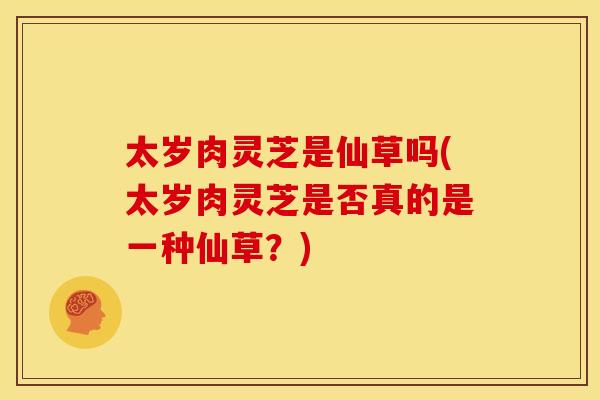 太岁肉灵芝是仙草吗(太岁肉灵芝是否真的是一种仙草？)