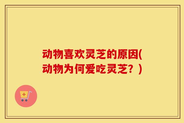 动物喜欢灵芝的原因(动物为何爱吃灵芝？)