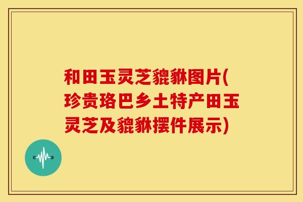 和田玉灵芝貔貅图片(珍贵珞巴乡土特产田玉灵芝及貔貅摆件展示)