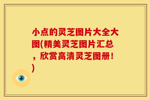 小点的灵芝图片大全大图(精美灵芝图片汇总，欣赏高清灵芝图册！)