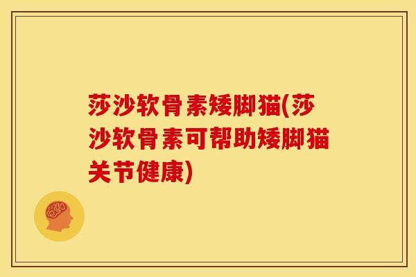 莎沙软骨素矮脚猫(莎沙软骨素可帮助矮脚猫关节健康)
