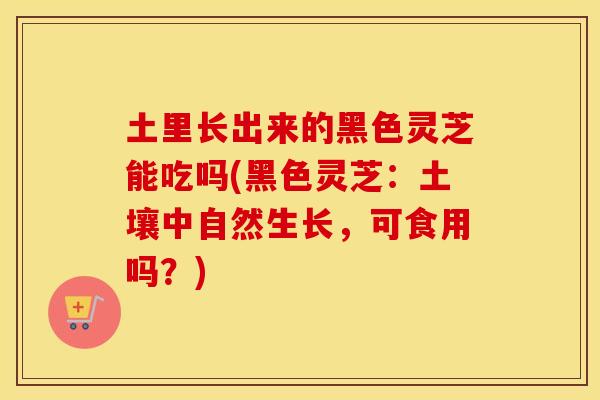 土里长出来的黑色灵芝能吃吗(黑色灵芝：土壤中自然生长，可食用吗？)
