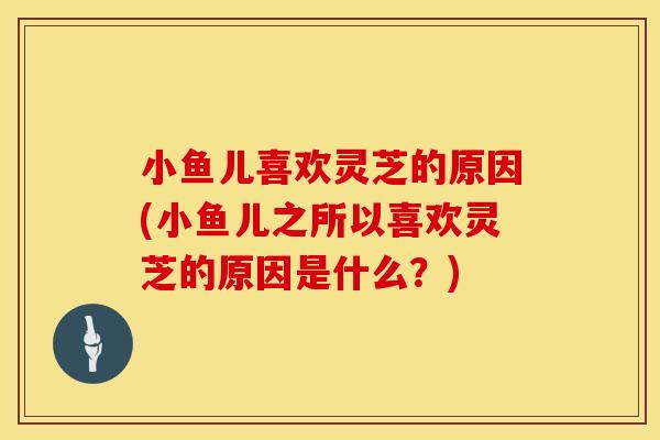 小鱼儿喜欢灵芝的原因(小鱼儿之所以喜欢灵芝的原因是什么？)