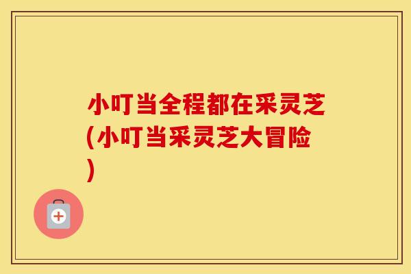 小叮当全程都在采灵芝(小叮当采灵芝大冒险)