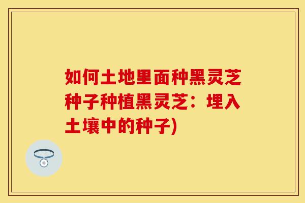 如何土地里面种黑灵芝种子种植黑灵芝：埋入土壤中的种子)