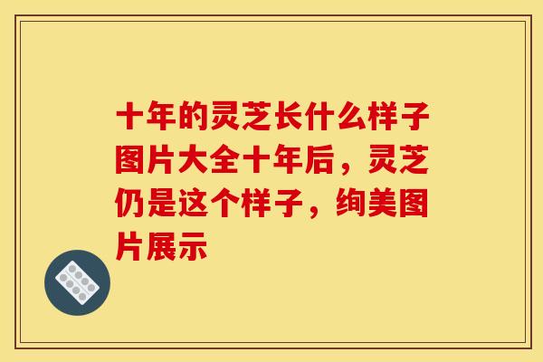 十年的灵芝长什么样子图片大全十年后，灵芝仍是这个样子，绚美图片展示