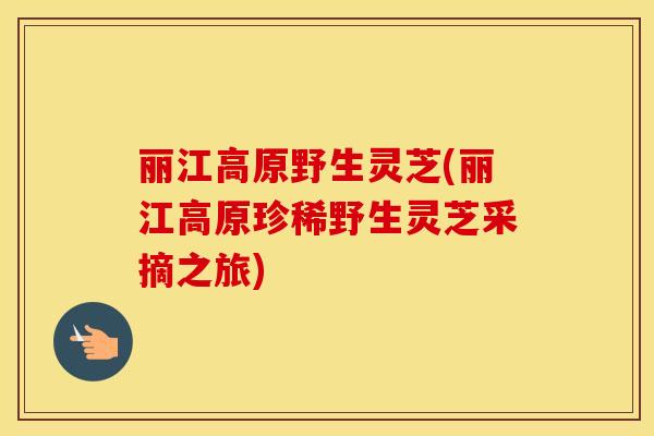 丽江高原野生灵芝(丽江高原珍稀野生灵芝采摘之旅)