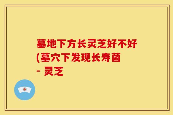 墓地下方长灵芝好不好(墓穴下发现长寿菌 - 灵芝