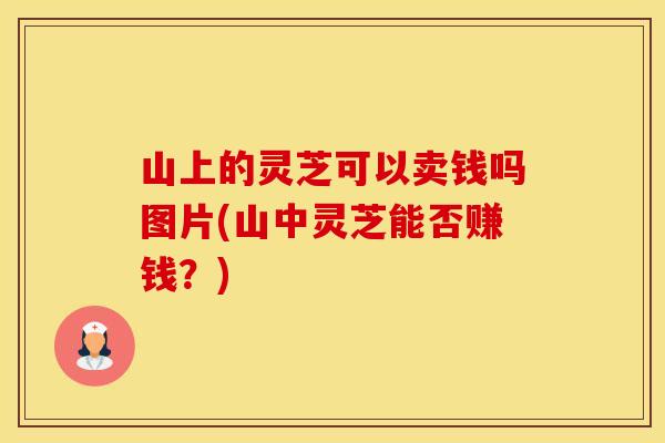 山上的灵芝可以卖钱吗图片(山中灵芝能否赚钱？)