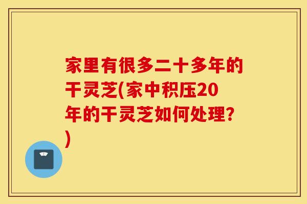 家里有很多二十多年的干灵芝(家中积压20年的干灵芝如何处理？)