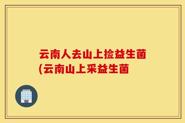 云南人去山上捡益生菌(云南山上采益生菌