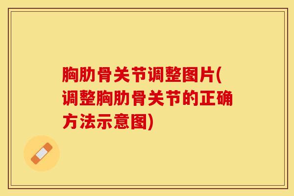 胸肋骨关节调整图片(调整胸肋骨关节的正确方法示意图)
