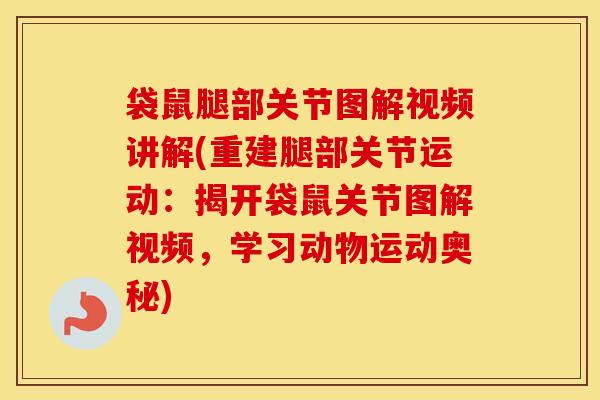 袋鼠腿部关节图解视频讲解(重建腿部关节运动：揭开袋鼠关节图解视频，学习动物运动奥秘)