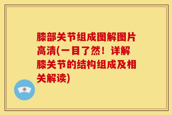 膝部关节组成图解图片高清(一目了然！详解膝关节的结构组成及相关解读)