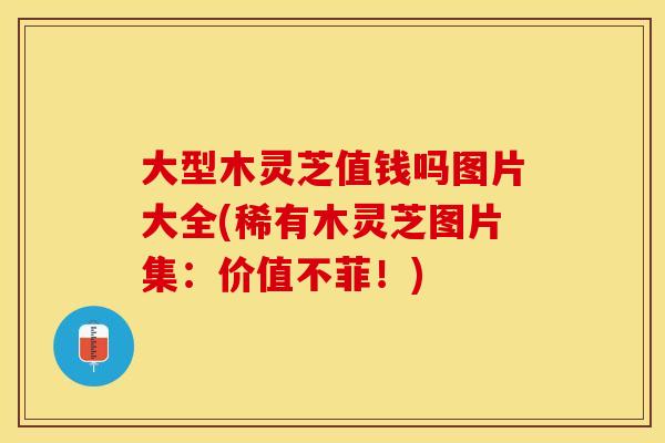 大型木灵芝值钱吗图片大全(稀有木灵芝图片集：价值不菲！)