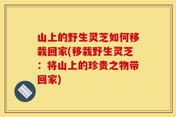 山上的野生灵芝如何移栽回家(移栽野生灵芝：将山上的珍贵之物带回家)