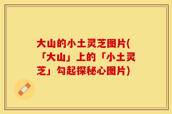 大山的小土灵芝图片(「大山」上的「小土灵芝」勾起探秘心图片)