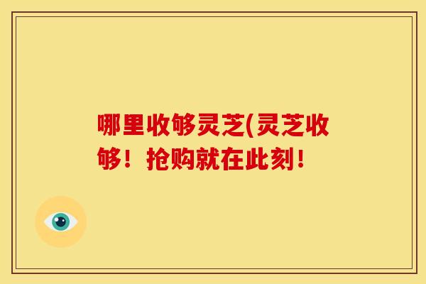 哪里收够灵芝(灵芝收够！抢购就在此刻！