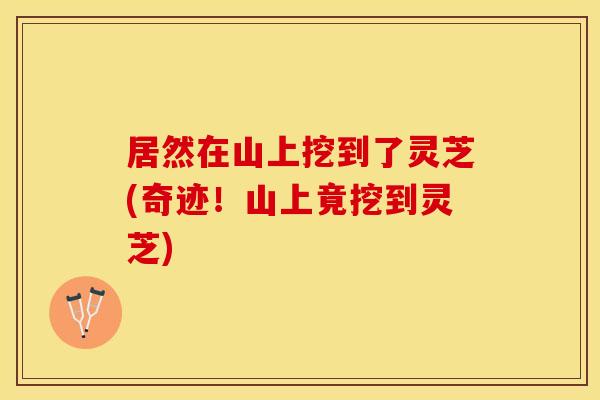 居然在山上挖到了灵芝(奇迹！山上竟挖到灵芝)