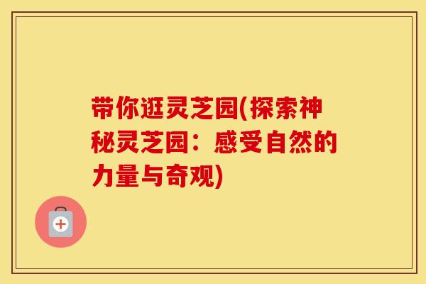 带你逛灵芝园(探索神秘灵芝园：感受自然的力量与奇观)