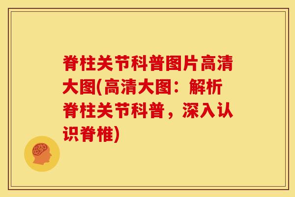 脊柱关节科普图片高清大图(高清大图：解析脊柱关节科普，深入认识脊椎)