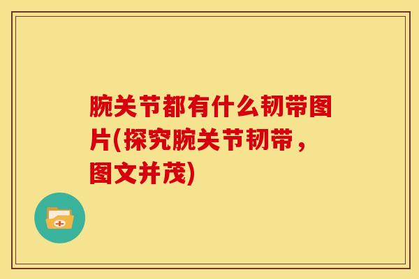 腕关节都有什么韧带图片(探究腕关节韧带，图文并茂)