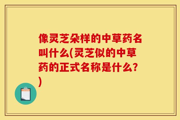 像灵芝朵样的中草药名叫什么(灵芝似的中草药的正式名称是什么？)